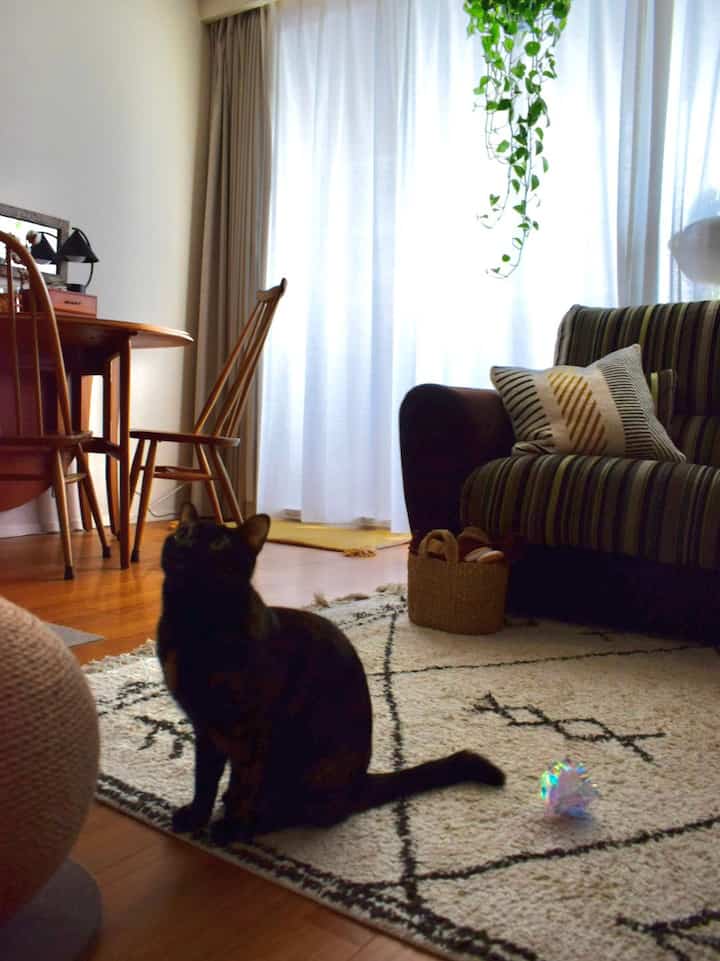 白いカーテンと茶色の家具があるヴィンテージスタイルのリビング、中央に猫が座り自然な雰囲気のあるインテリア