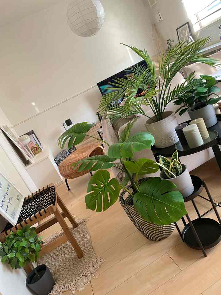 明るい白い壁と木目調の床が特徴のナチュラルなリビング、様々な観葉植物とラタンのスツール、黒いサイドテーブルが配置された雰囲気のあるインテリア