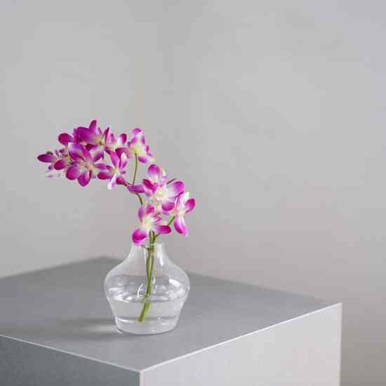 洋蘭オーキッドの小瓶挿し