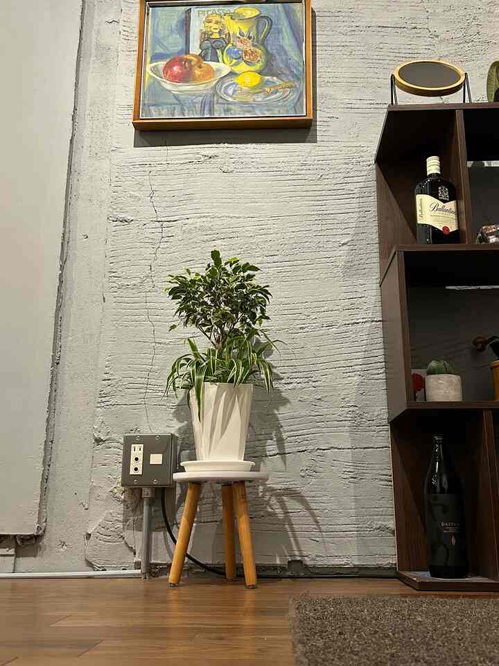 淡いグレーの壁と木目調の床が特徴のリビングコーナーに、白いスツールの上に置かれた緑の植物があるナチュラルなインテリア