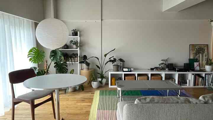 白と木目調が調和したリビングスペース、植物とシンプルな家具が配置された雰囲気のあるインテリア