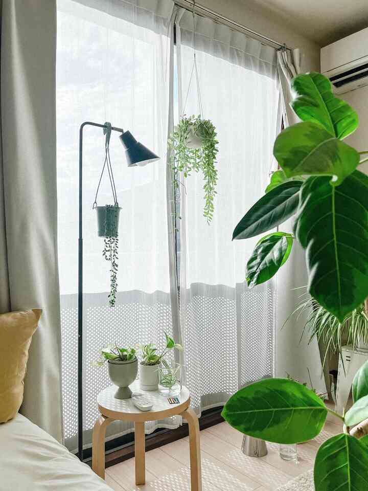 ナチュラルカラーと白を基調とした1Kのワンルーム、木製スツールと観葉植物が配置された雰囲気のある空間