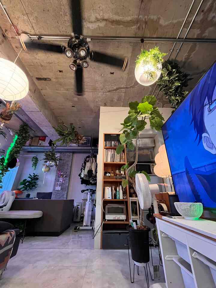 白い床と黒いシーリングファン、植物が配置されたナチュラルモダンなリビングルーム