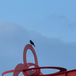#새 작품에 앉아있는 새🐧