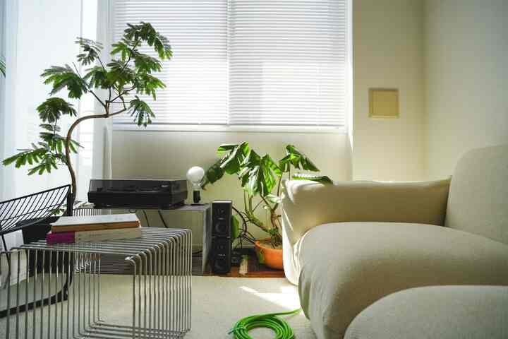 散らかった感じの部屋も生活感があっていい🏠

#ロフトのある家
#モンステラ
#エバーフレッシュ
#pantonwire
#montanafurniture