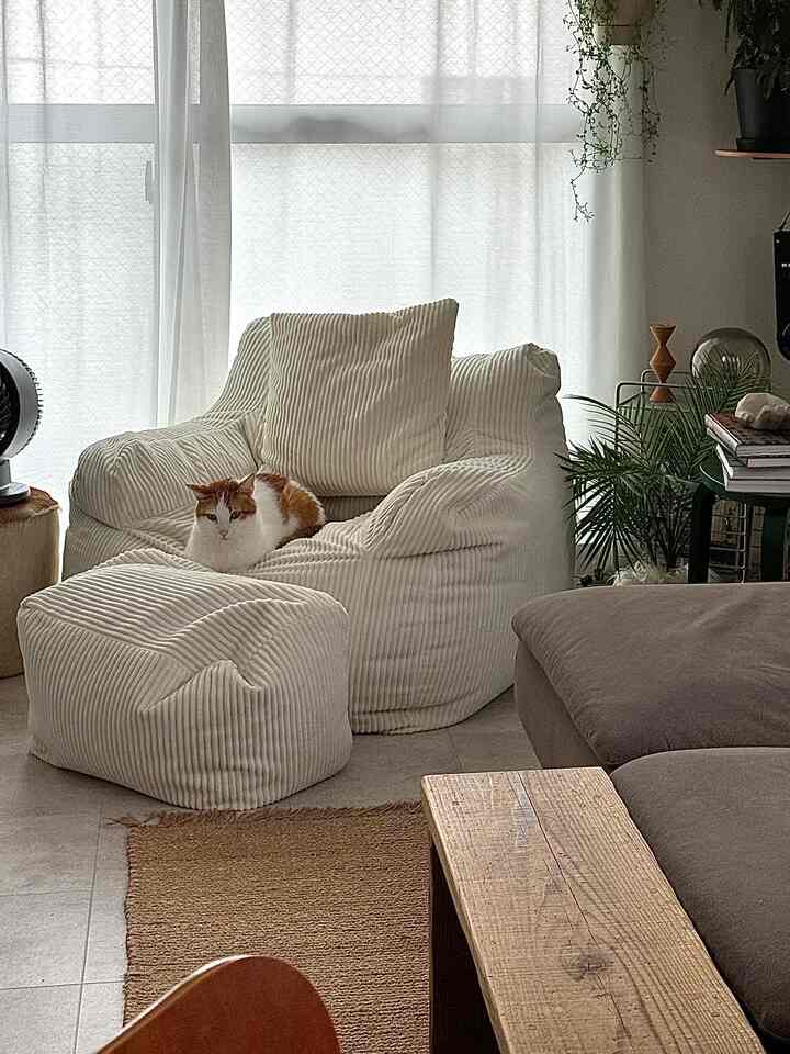 柔らかな白とナチュラルトーンのリビング、コーデュロイのビーズクッションに猫と植物が配された居心地の良い空間