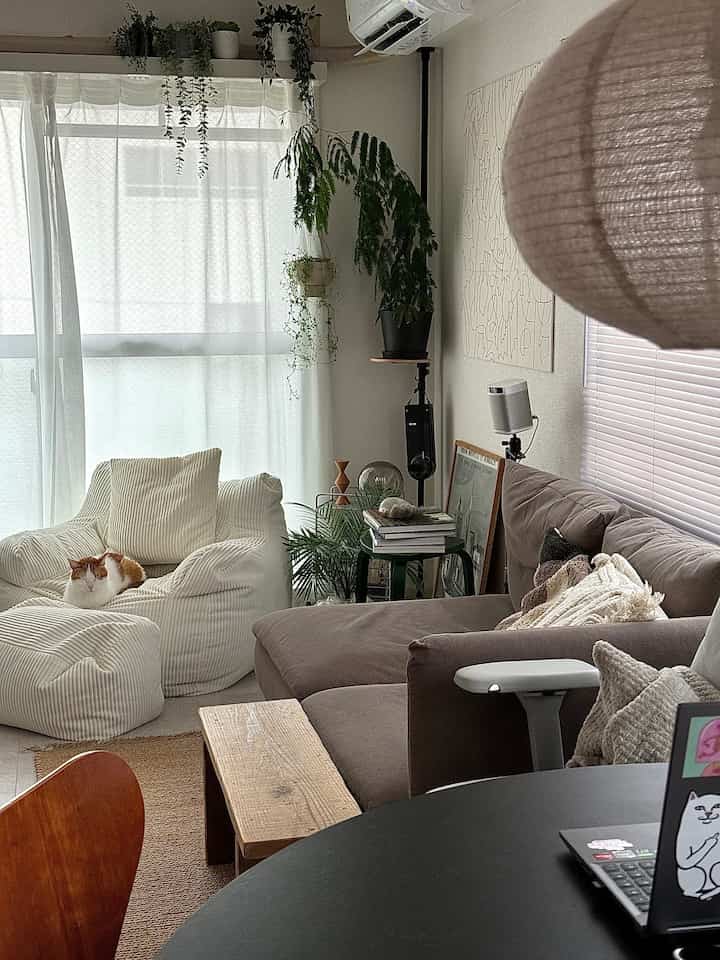 ナチュラルな木目調と白色が調和する一人暮らしのリビング、猫が座るビーズクッションとソファが配置されたシンプルな空間