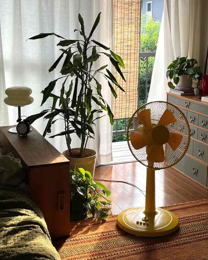 🌻🌻🌻


4:50pm

#一人暮らし
#インテリア
#黄色の扇風機