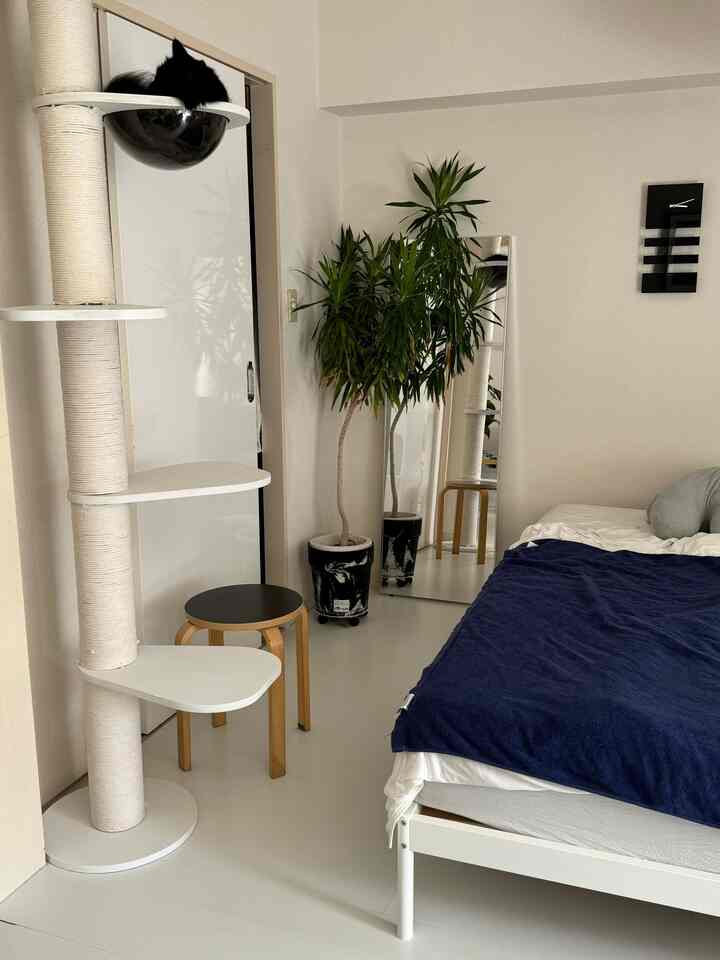 白とナチュラルトーンの寝室、猫のいるキャットタワーとベッド、全身鏡とスツールが配置された落ち着いた雰囲気のインテリア