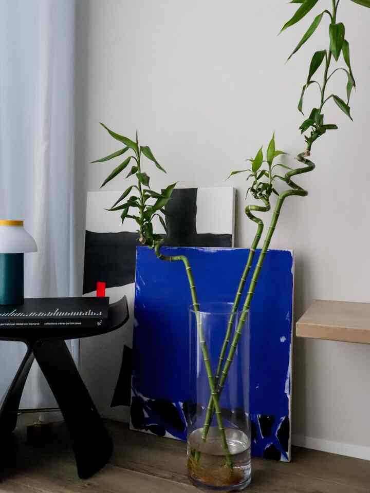 Modern interior with white walls, abstract art panels in black and blue, featuring bamboo plants in a transparent vase
