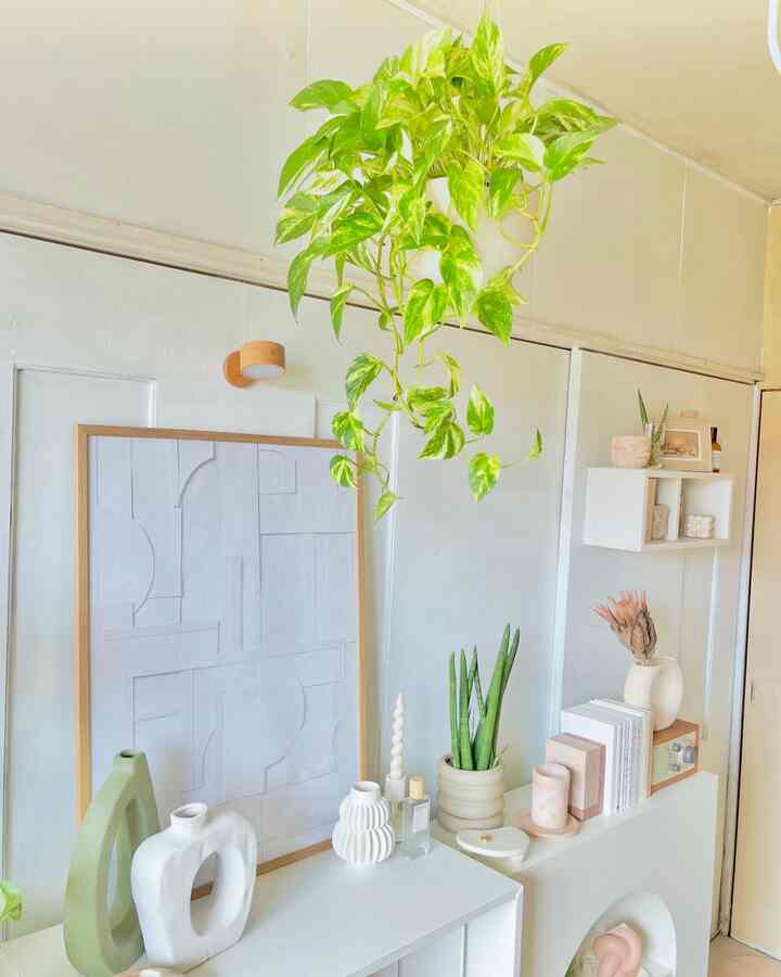 ポトスの垂れてるとこを剪定するか悩み中🤔
#実家暮らし #観葉植物 #ナチュラルインテリア #韓国インテリア #北欧インテリア #DIY 