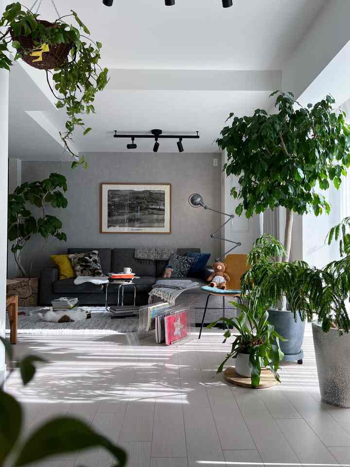 The living room of my previous house brings back memories 🤳
The sunlight was sparkling and the plants were lively, I really loved it.
Picture 2) Nap time. I prefer paper to e-books.

#Cozy #コージーインテリア #リビング #リビング植物 #植物インテリア #植物のある生活 #植物のある暮らし #グリーンインテリア #グリーン #観葉植物 #アート #アートのある暮らし #絵画 #絵画インテリア #インドアグリーン #グリーンのある暮らし #緑のインテリア