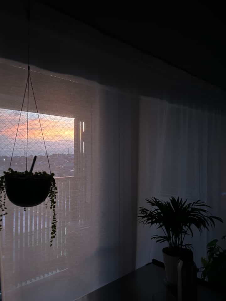 レースカーテンの柔らかさが大好き

#レースカーテン #ワンルーム #一人暮らし