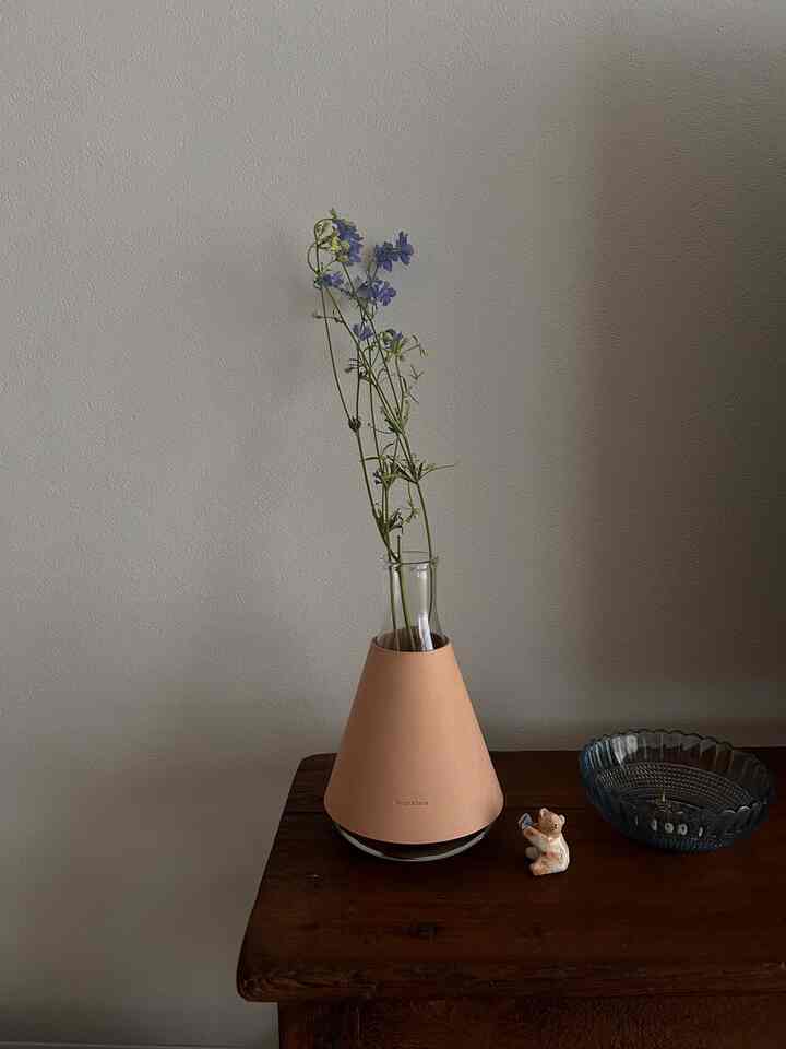 どんなお花でも合うので優秀さんです。
#HenderScheme #花瓶 #フラワーベース
