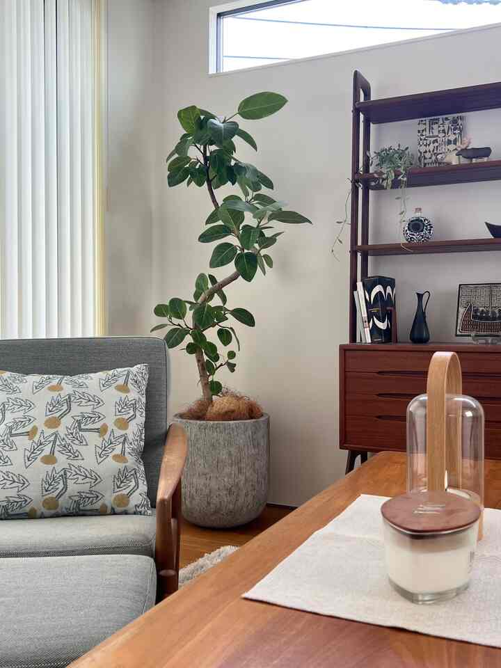 白い壁と木目調家具が配置されたスカンジナビアスタイルのリビング、グレーのソファと大きな植物が調和したホテルライクな空間