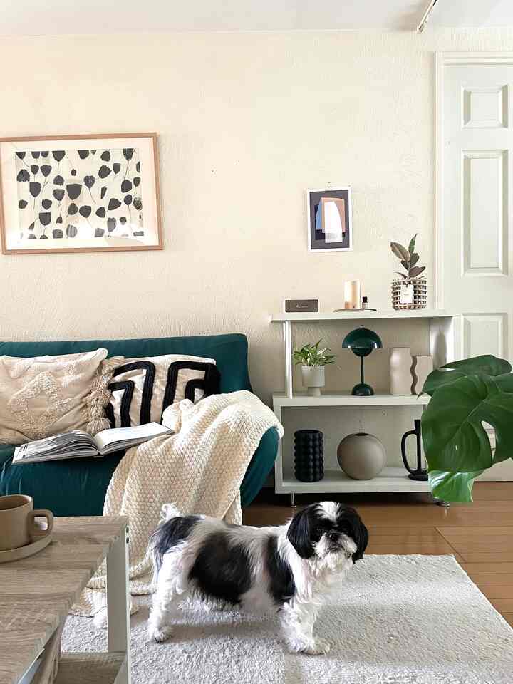 リビングはグリーン✖️ベージュ✖️ブラック
賃貸だけどこのドア🚪はお気に入り。
#インテリア #ペット #北欧インテリア #北欧スタイル #シンプルなインテリア #シンプルな暮らし #観葉植物 #グリーンインテリア #グリーン #fermLIVING #CooeeDesign #ポスター #ポスターインテリア 