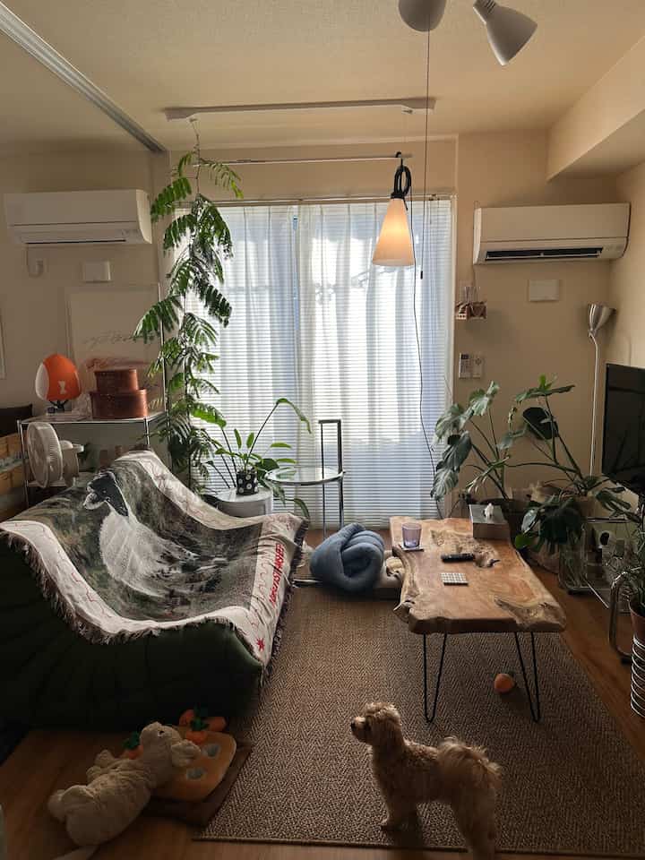 ナチュラルな色調の壁と木製のコーヒーテーブルがある居心地の良いリビング、ラグに犬が立ち、周囲に複数の観葉植物が配置されている