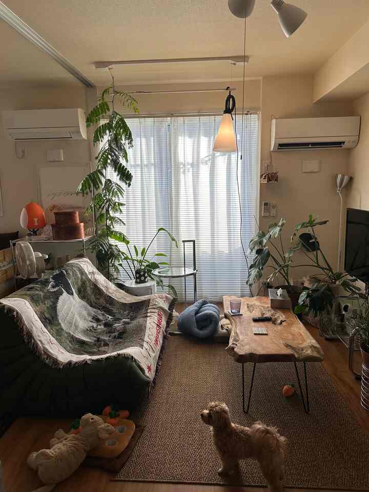 犬が可愛い
#リビング 
#リビング植物 