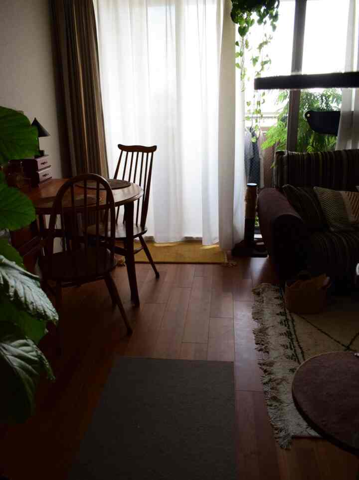 Wood-toned vintage living room with curtains and indoor plants, featuring a cat tower creating a cozy atmosphere