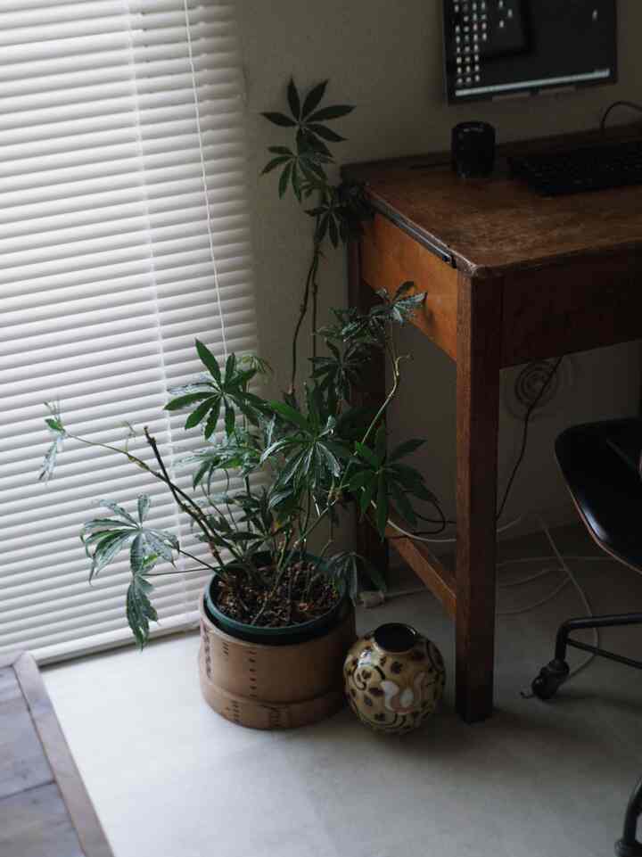 ナチュラルな色調のホームオフィス、木製のデスクと大きな観葉植物、白いブラインドが配された雰囲気のあるインテリア