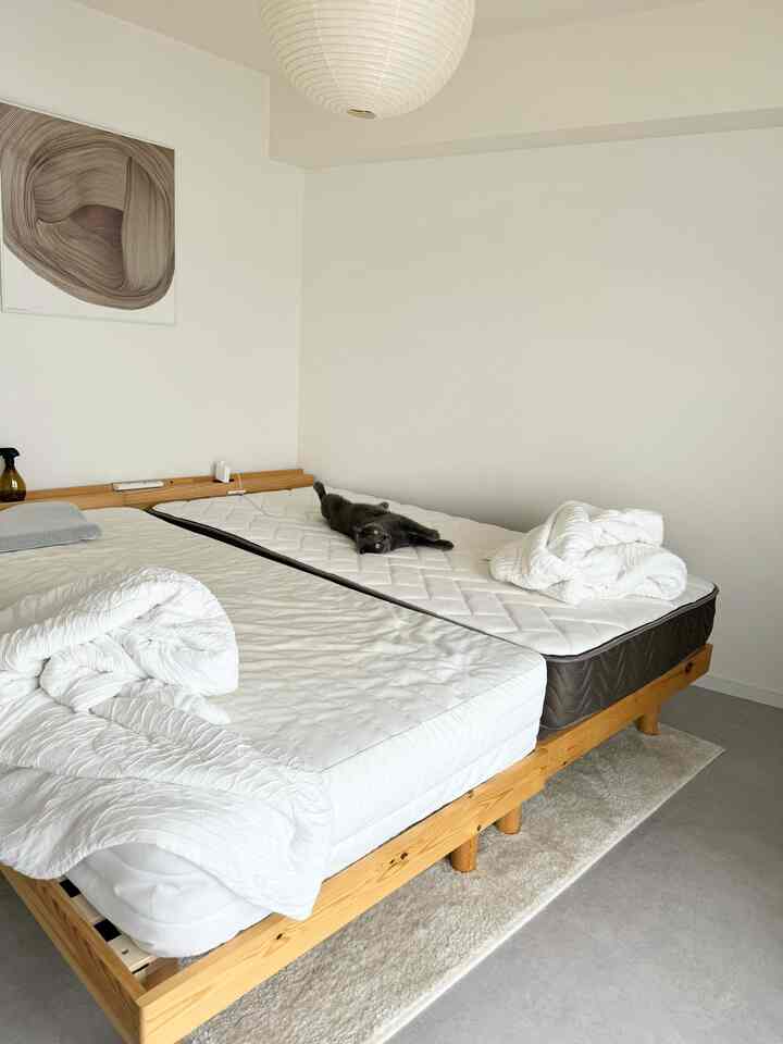 白とナチュラルな色調の寝室、木製のベッドフレームと猫があるシンプルで落ち着いたインテリア