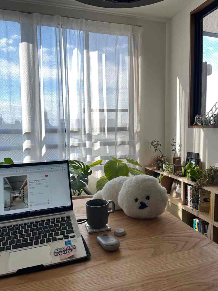 在宅勤務の日🐶


#一人暮らし #一人暮らし部屋 
#観葉植物 #無印良品 #mambo
