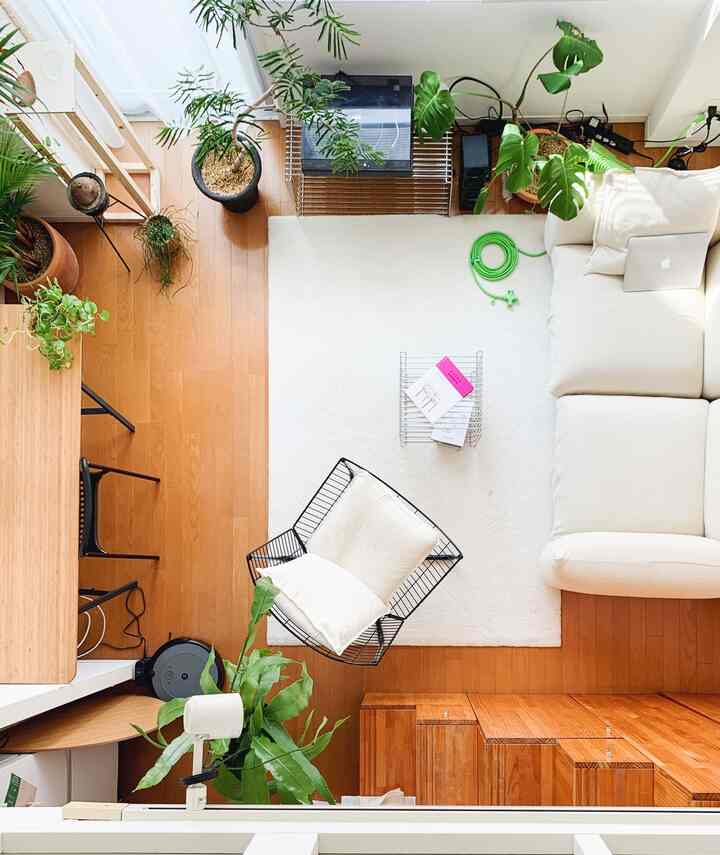植物の自然な緑色🪴と
延長ケーブルの人工的な緑色🐍の
少しだけハズした感じがお気に入りのリビング

#ロフト付きワンルーム 
#ロフト付きワンルームインテリア 