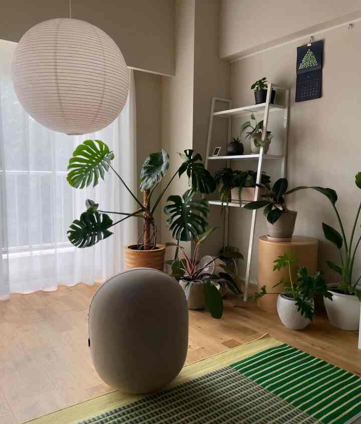 andmedicalのバランスボール🧘‍♀️
ソファみたいな生地が気持ちよくて
インテリアにもよく馴染みます

#リノベーション #マンションリノベーション 
#howwelive #mylvngrm
#apartmenttherapy #apartmentinterior
#interiordesign #interiordecor #interiorinspo
#interiorgreen #観葉植物