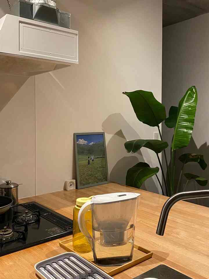 柔らかなブラウンの木目調キッチン、透明なウォータージャグと木製トレイ、大きな緑の植物が配置された清潔感のある空間