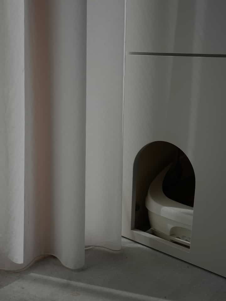 
Kotak kotoran kucing disimpan di kotak sepatu di pintu masuk. Terdapat kipas ventilasi di dalamnya untuk mencegah bau, sehingga kucing dan manusia dapat tinggal dengan nyaman.

#Toilet kucing #ねこ #猫インテリア #猫用品 #猫と家