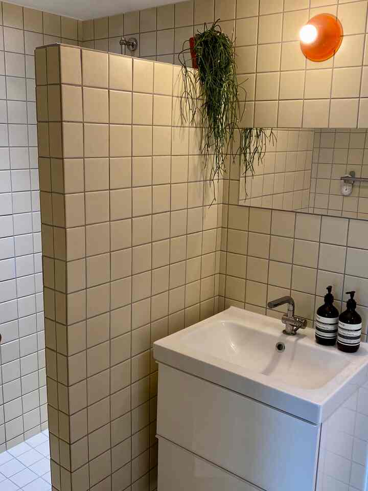 白とベージュのタイル壁が調和するバスルーム、洗面台の上にハンドウォッシュボトルと吊り下げ植物が配置された清潔感のある空間