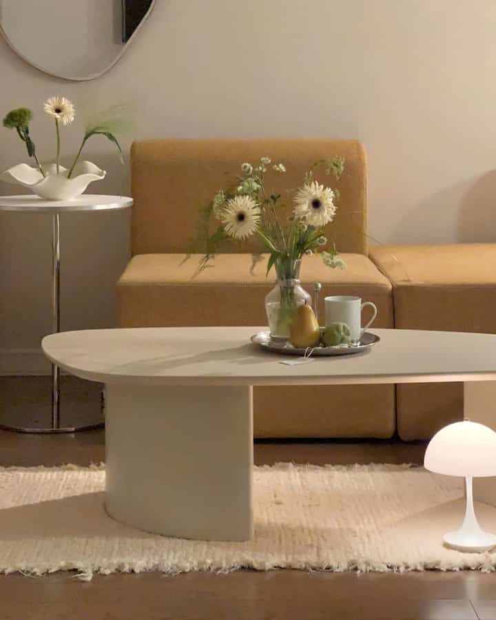 Natural-toned living room with orange sofa, cream rug, and a cozy atmosphere featuring coffee table with vase and decor