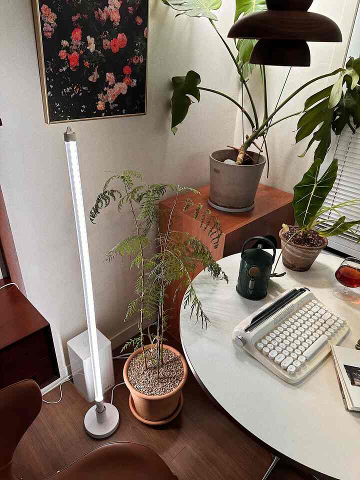 Cozy interior space in white and brown tones featuring natural plants and vintage typewriter on round table