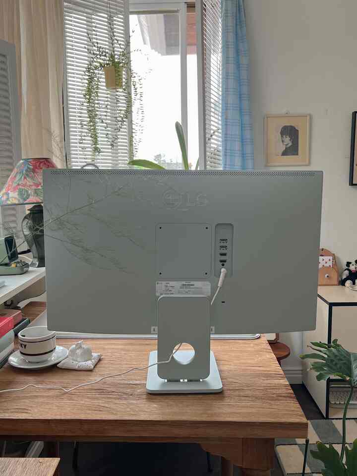 Natural wood tone desk featuring LG monitor and coffee cup in a tidy home office space