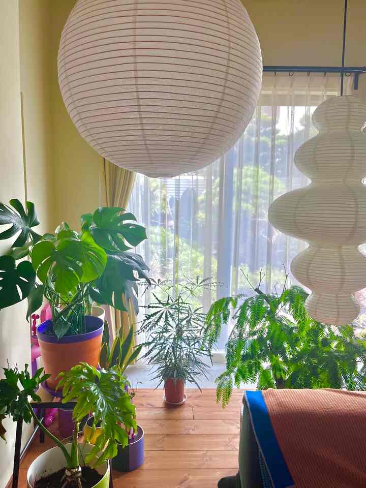 #リビング #リビング植物 #リビングインテリア #観葉植物 #グリーン #IKEA #植木鉢 #植木鉢インテリア #カラフル #カラフルなインテリア #リノベーション #リノベ #一戸建て #一戸建てリノベ #ミッドセンチュリー #midcentury #colorful #colorfulinterior #renovation