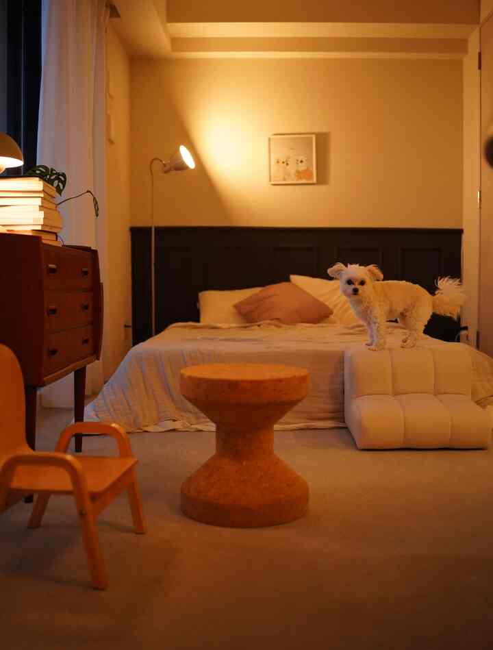 Warm natural-colored bedroom featuring a cork stool, cushioned pet steps at center and right, with a small white dog standing on the steps