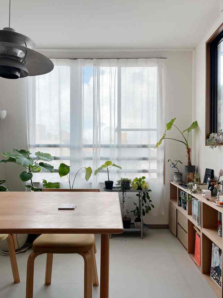 明るくナチュラルなトーンのワンルームダイニング、テーブルと植物、カーテンが配置された雰囲気のある空間