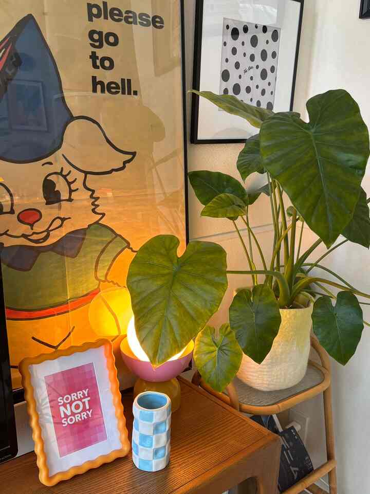 ライフラインであるニンテンドースイッチを隠すのにちょうどいいフォトフレーム🙏🏻フォルムも中に入ってたイラストも気に入っています🌈 #FlyingTigerCopenhagen #フォトフレーム #カラフルなインテリア #観葉植物 #フレームインテリア #額縁 #間接照明 #間接照明インテリア 