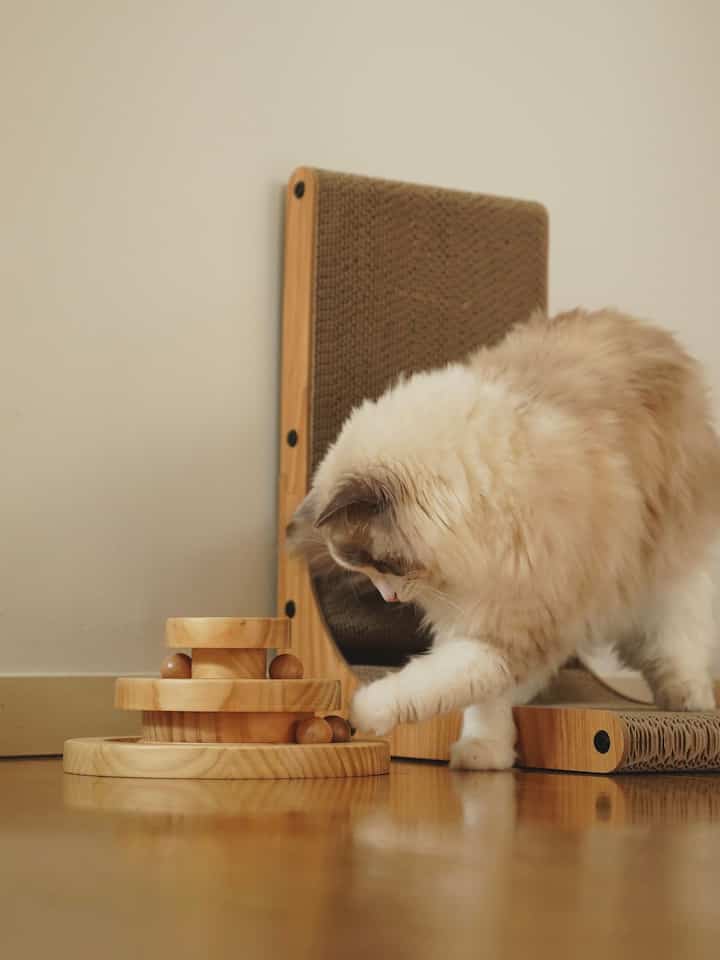 ナチュラルな木目調のペットスペース、木製の猫のおもちゃと爪とぎが配置された雰囲気のあるインテリア