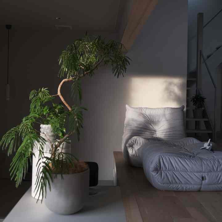 去年の今頃。
エバーフレッシュの上の方が枯れる前…

この頃に戻りたい🥹



#リビング #リビングインテリア #エバーフレッシュ #観葉植物 