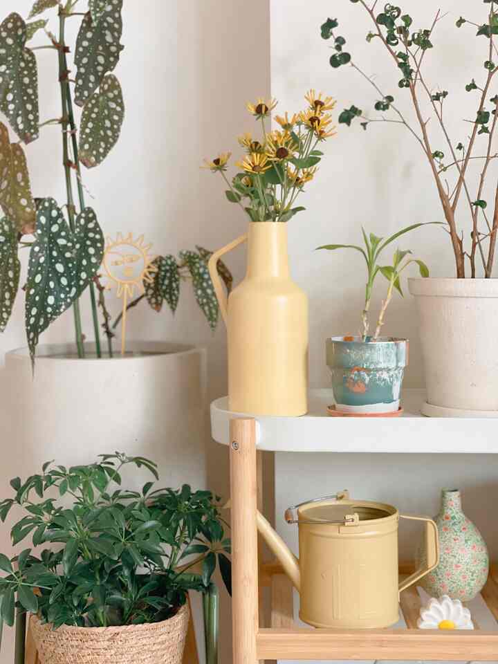 曇りの日のリビング☁️
陽は当たらなくても明るい色の雑貨で癒される🌼
ここ数年ずっとオレンジやイエローがブームで
少しずつ雑貨を集めています。

この場所はお気に入りの雑貨が集まった場所。
🌞のガーデンピックは個性的ですき🫶🏻

#IKEA #IKEA雑貨 #ACTUS #観葉植物　
#urbanoutfitters #インテリア雑貨
#北欧インテリア #韓国インテリア 