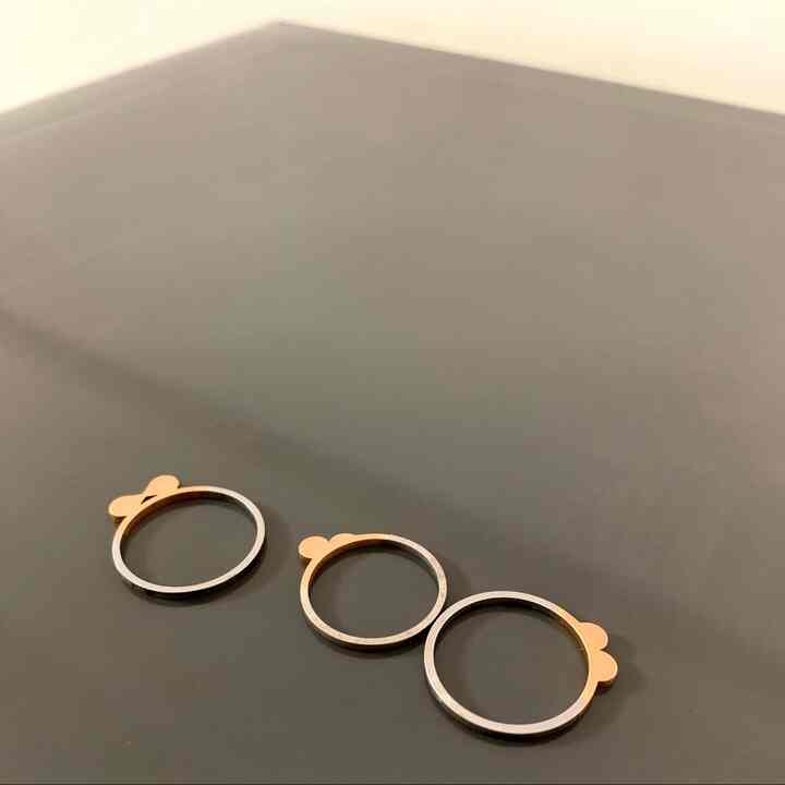 Punch hole project Ring