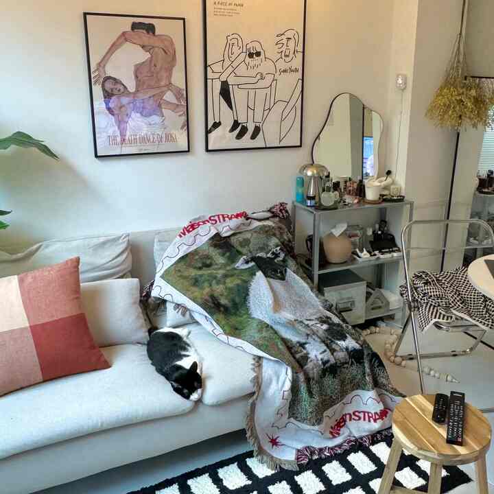 Beige-walled living room with white sofa featuring a sleeping cat, creating a cozy atmosphere