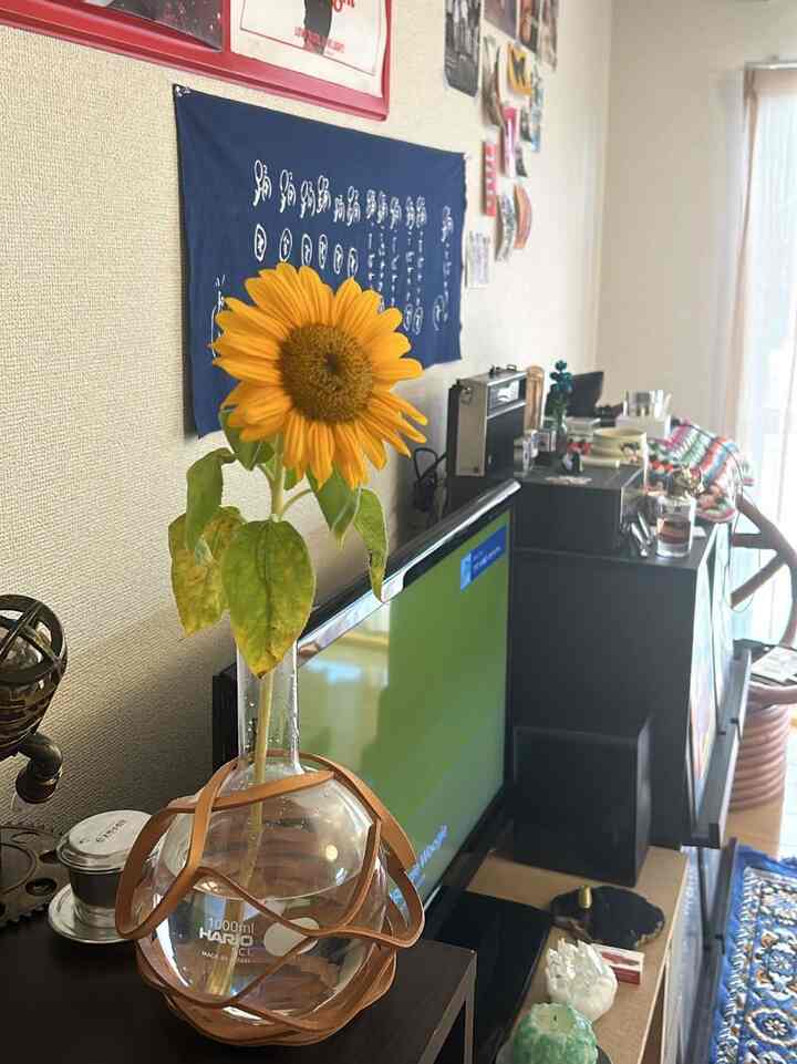 hirokicks__さんのインテリア実例写真