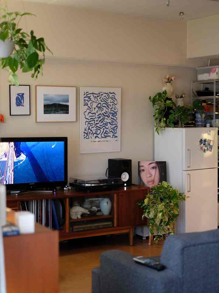 Living room with natural tones and wood furniture featuring a vinyl record player and plants creating a cozy atmosphere