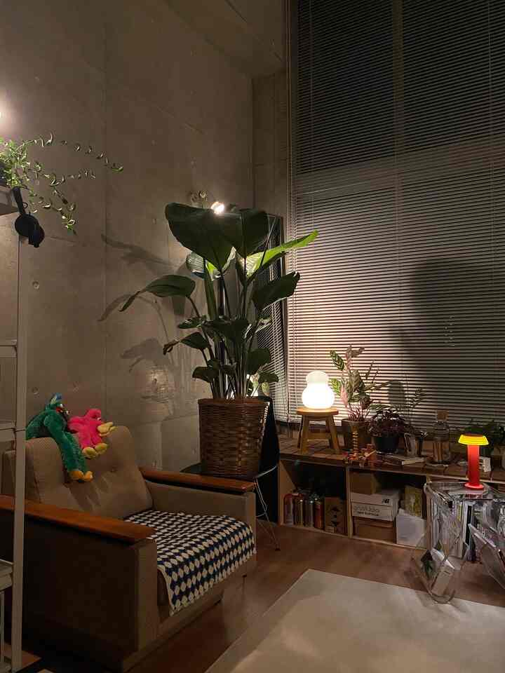 少し配置換えしました🥃

#コンクリート打ちっぱなし #コンクリート #ルームツアー #ルーム #お部屋紹介 #1人暮らし #インテリア #韓国インテリア #roomdesign #room #plants #morningroutine 