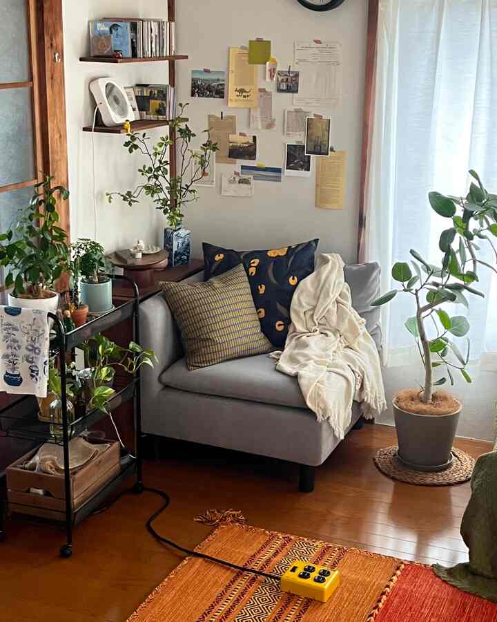 ナチュラルな色調の一人暮らしリビング、グレーのソファと複数の植物、オレンジ色のラグが配置された印象的な空間