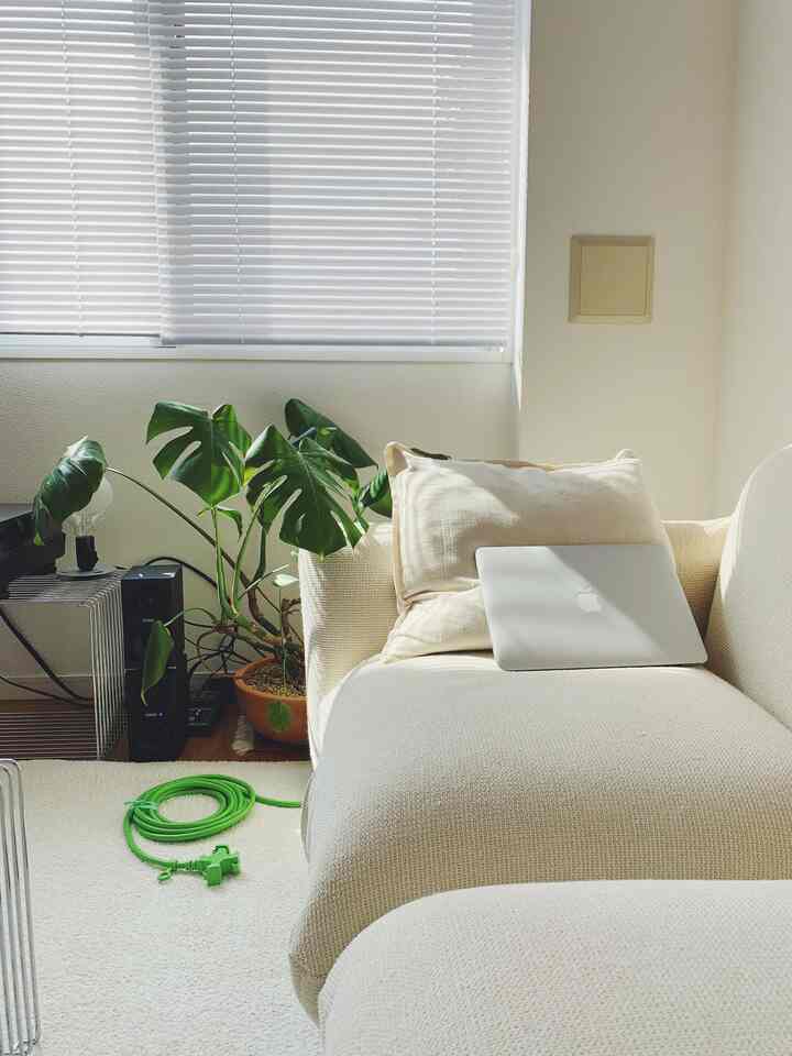 #マレンコ のソファは高反発で居心地がよく
腰掛ながら、読書したりパソコンを開いたりして
寛ぐ時間が好きです🛋️