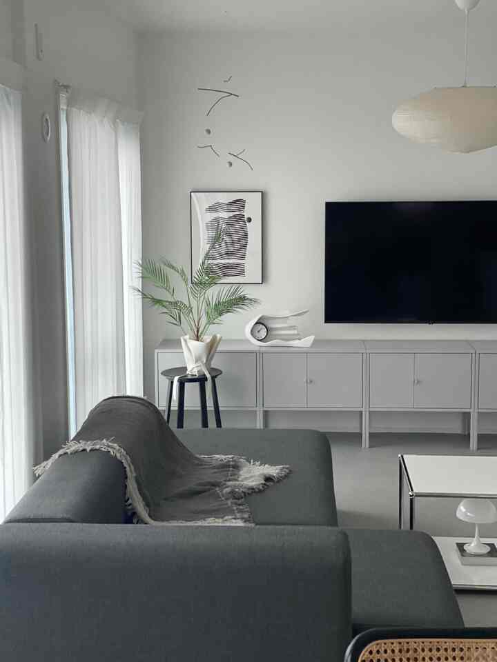 Gray and white toned living room featuring a simple sofa and TV stand with a modern and natural atmosphere