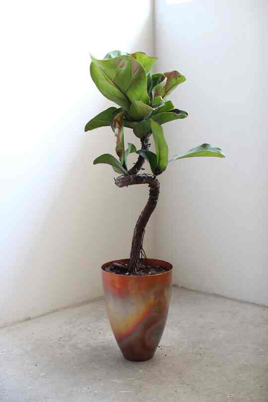 copper pot TYPE #6〈metallic〉